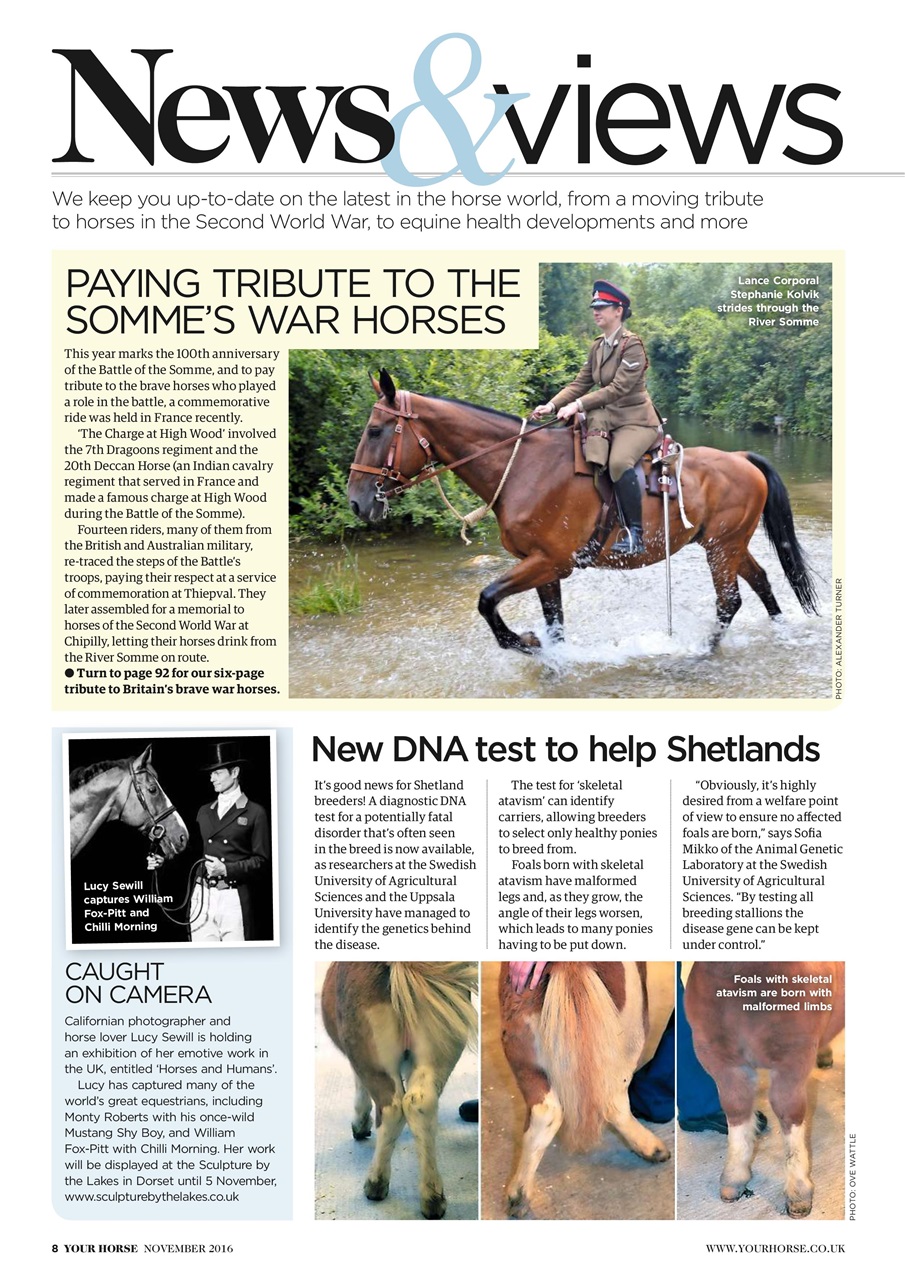 Your Horse Preview Pages