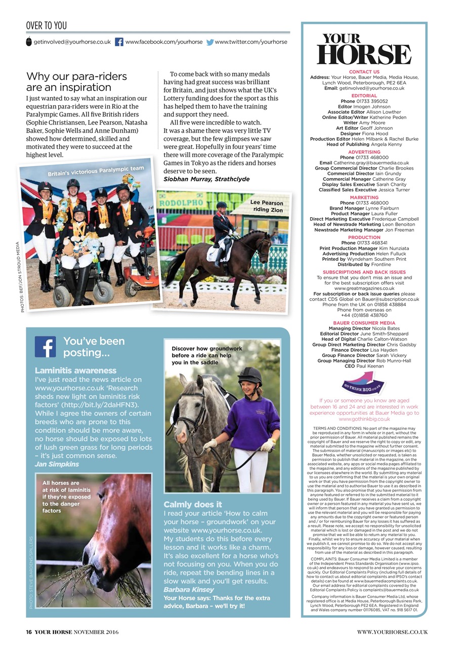 Your Horse Preview Pages