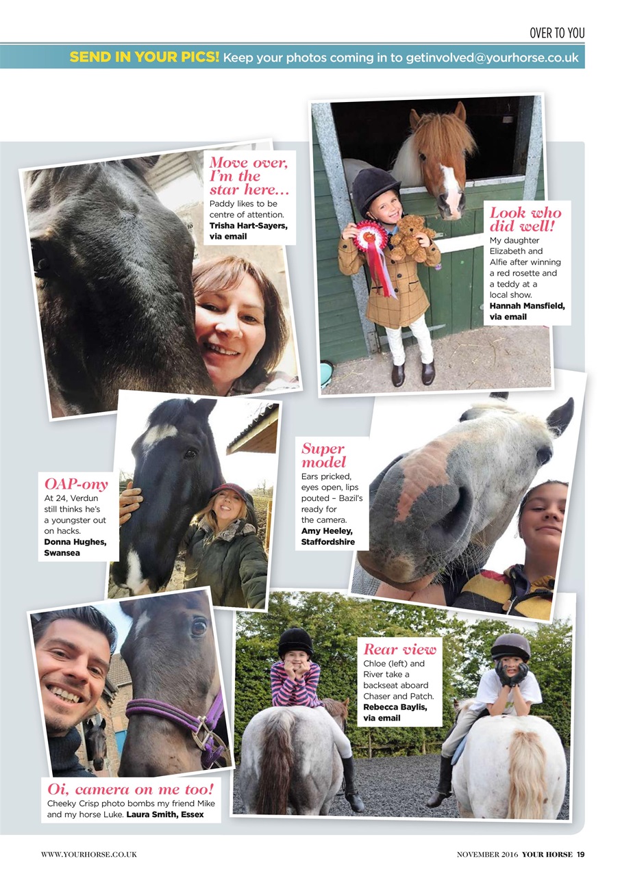 Your Horse Preview Pages