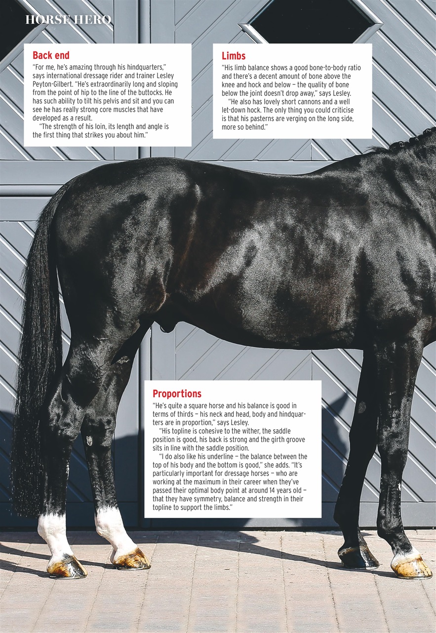 Horse & Hound Preview Pages