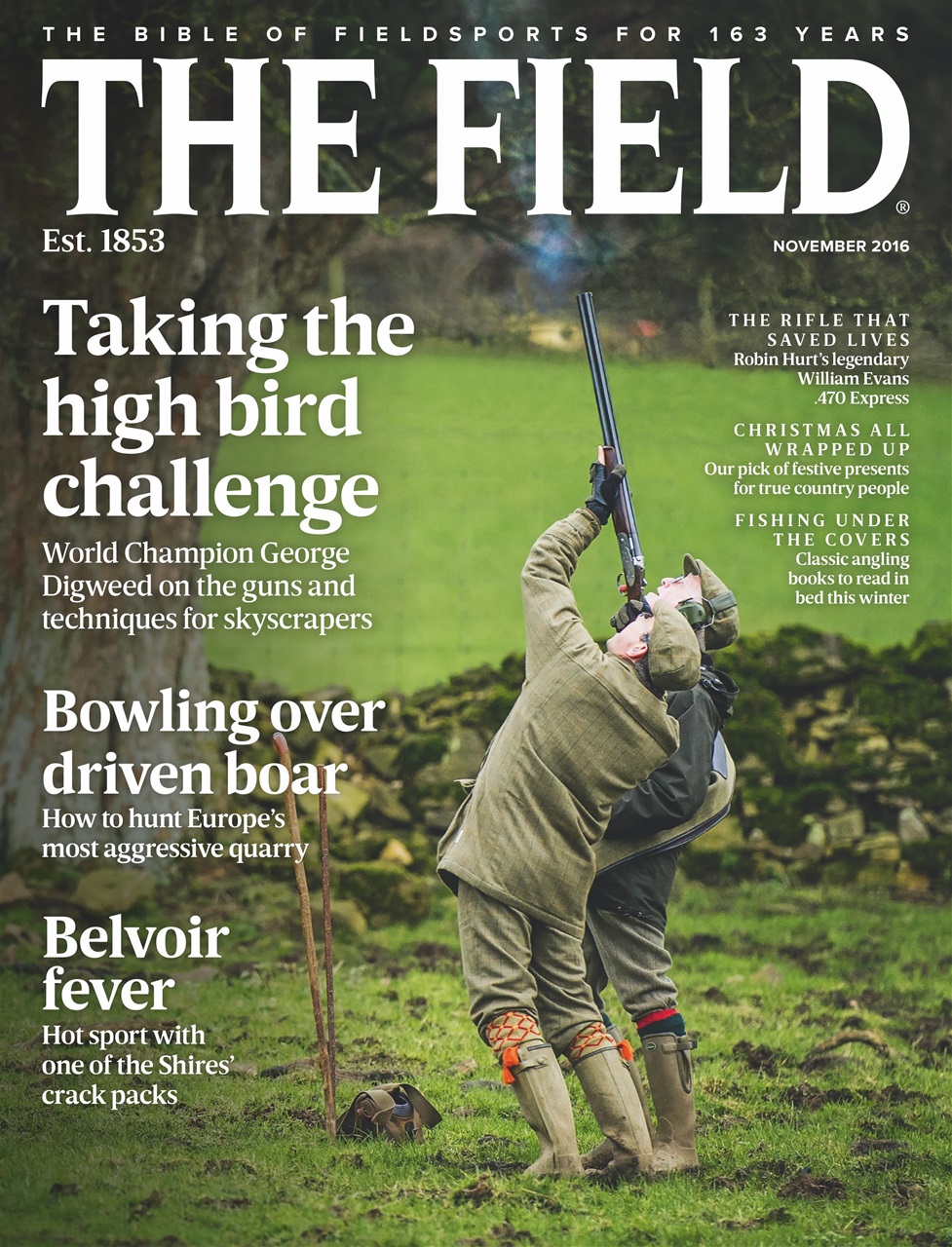 The Field Preview Pages