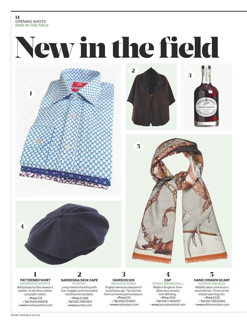 The Field Preview Pages