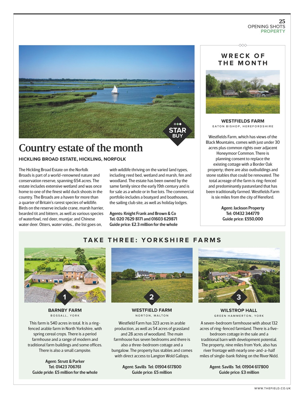 The Field Preview Pages