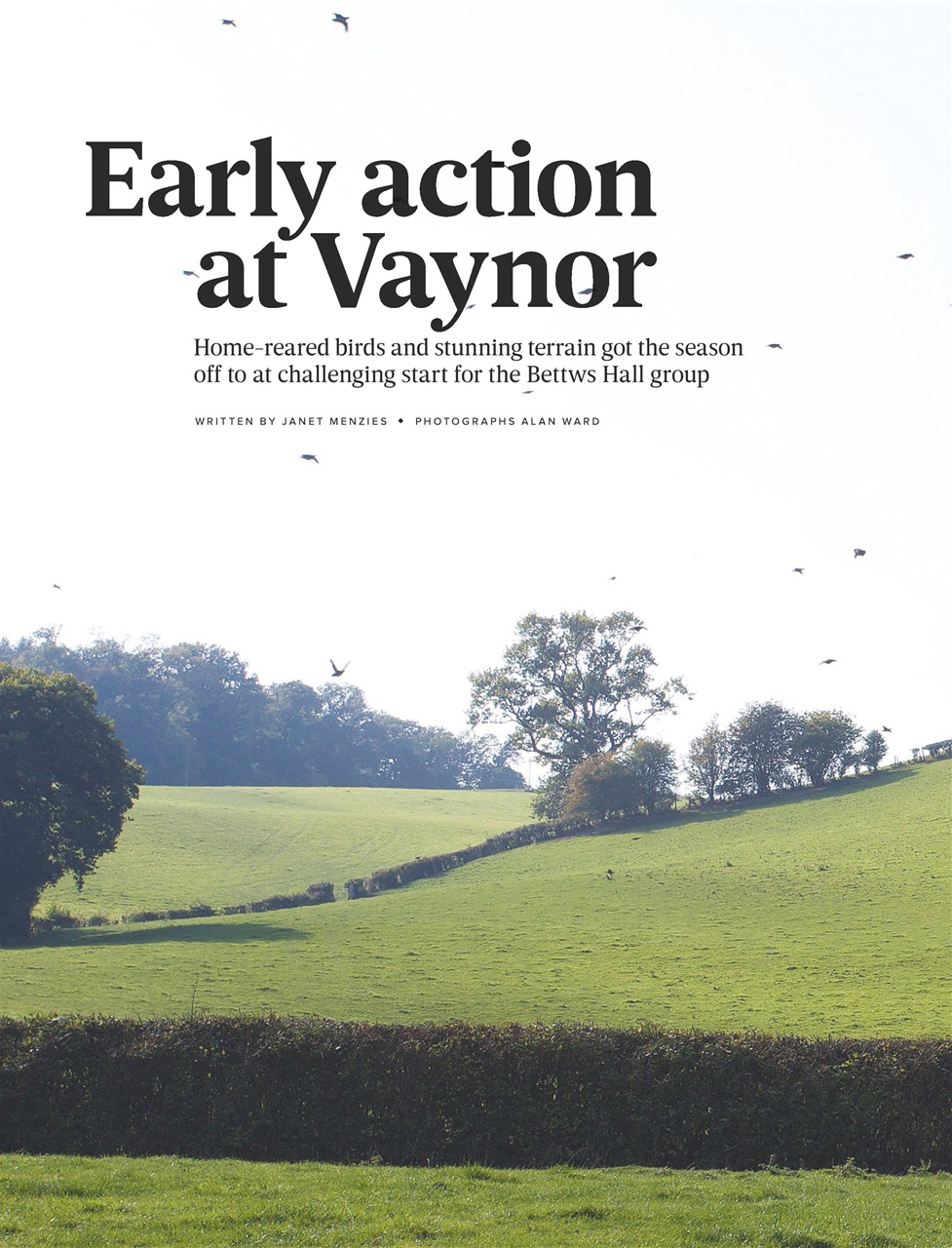 The Field Preview Pages