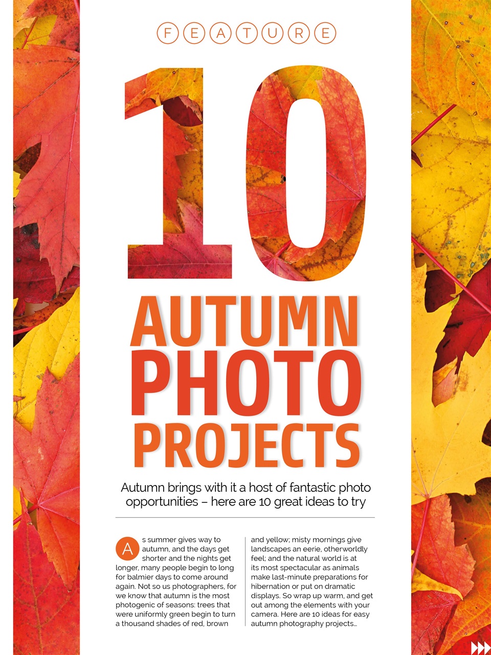 Photography Week Preview Pages