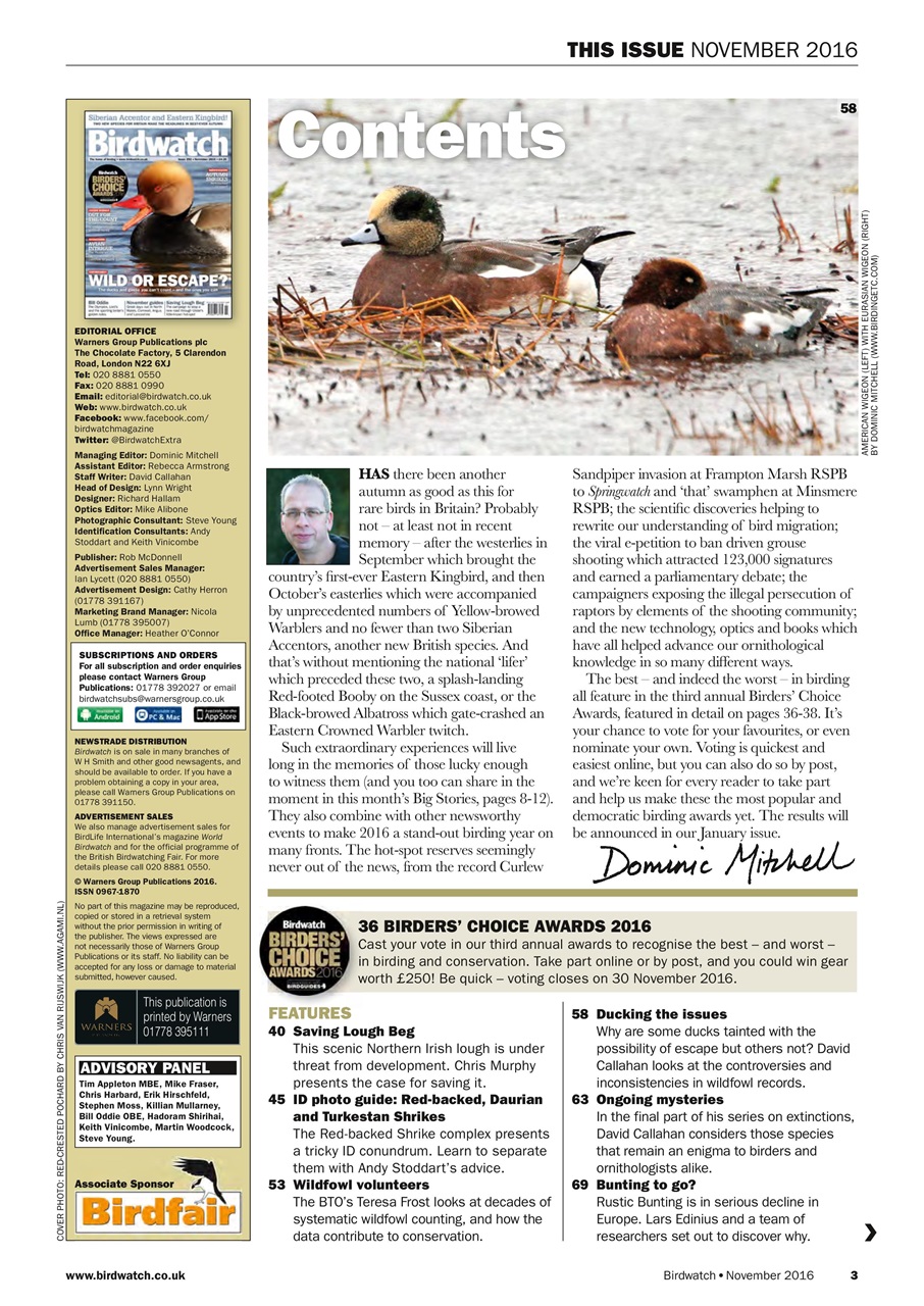 Birdwatch Magazine Preview Pages