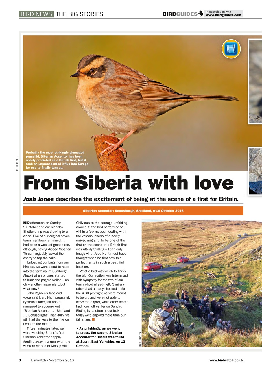 Birdwatch Magazine Preview Pages