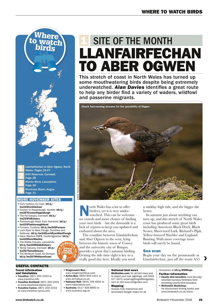 Birdwatch Magazine Preview Pages