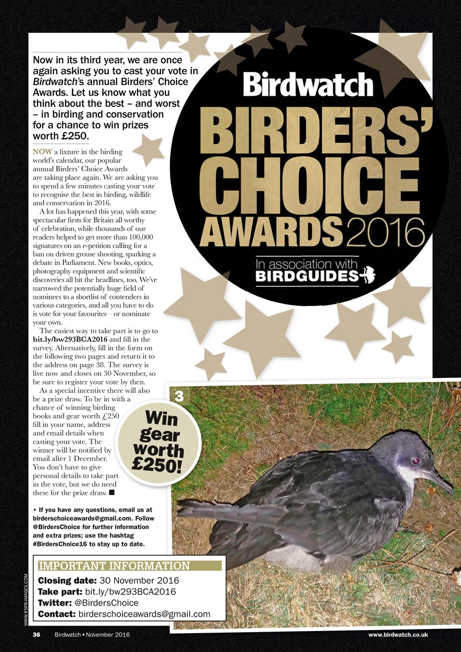 Birdwatch Magazine Preview Pages