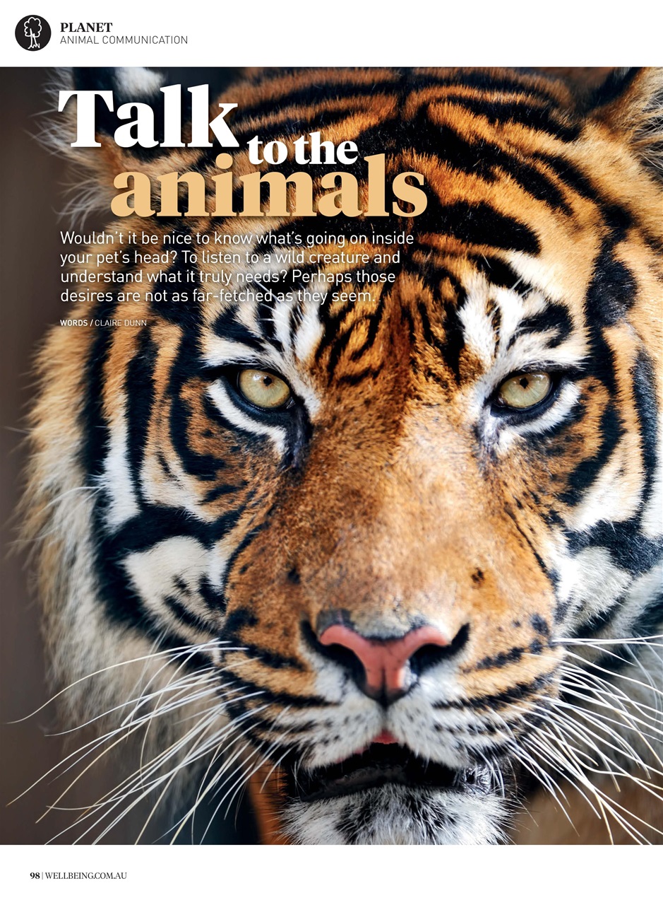 WellBeing Preview Pages