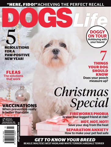 Nov/Dec Issue#140 issue Nov/Dec Issue#140