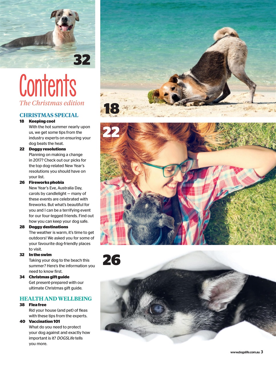 Dogs Life Preview Pages