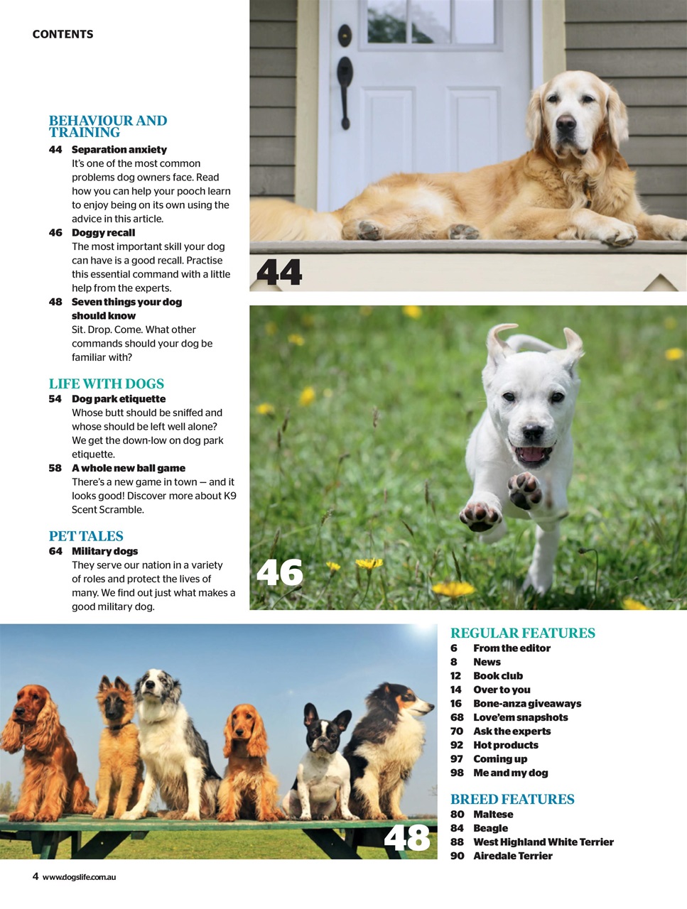 Dogs Life Preview Pages