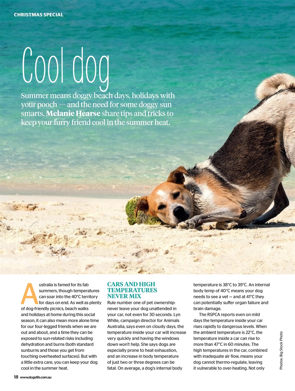 Dogs Life Preview Pages