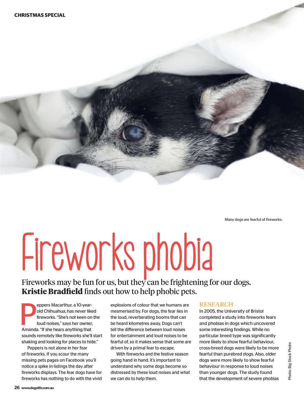 Dogs Life Preview Pages