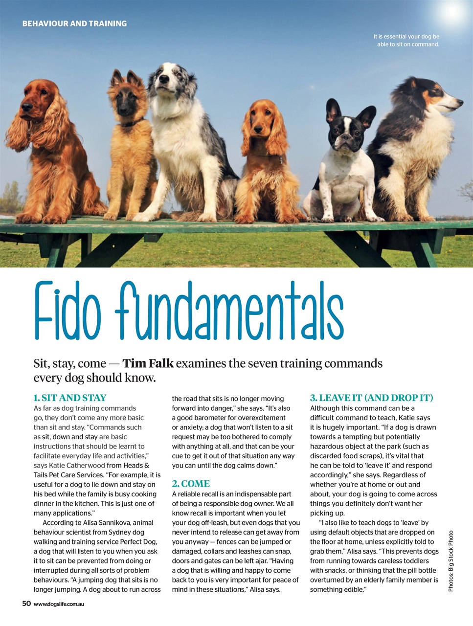 Dogs Life Preview Pages