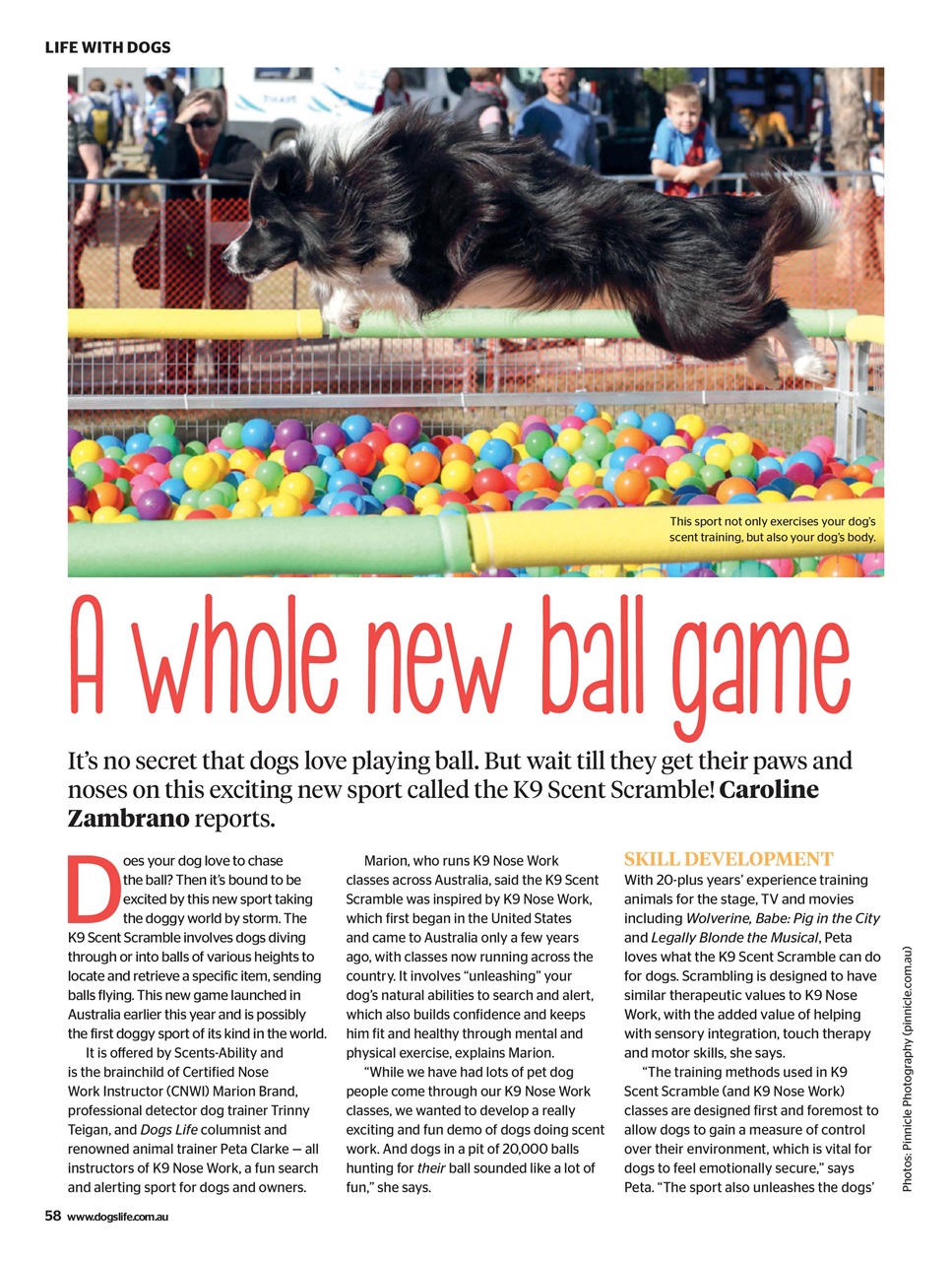 Dogs Life Preview Pages