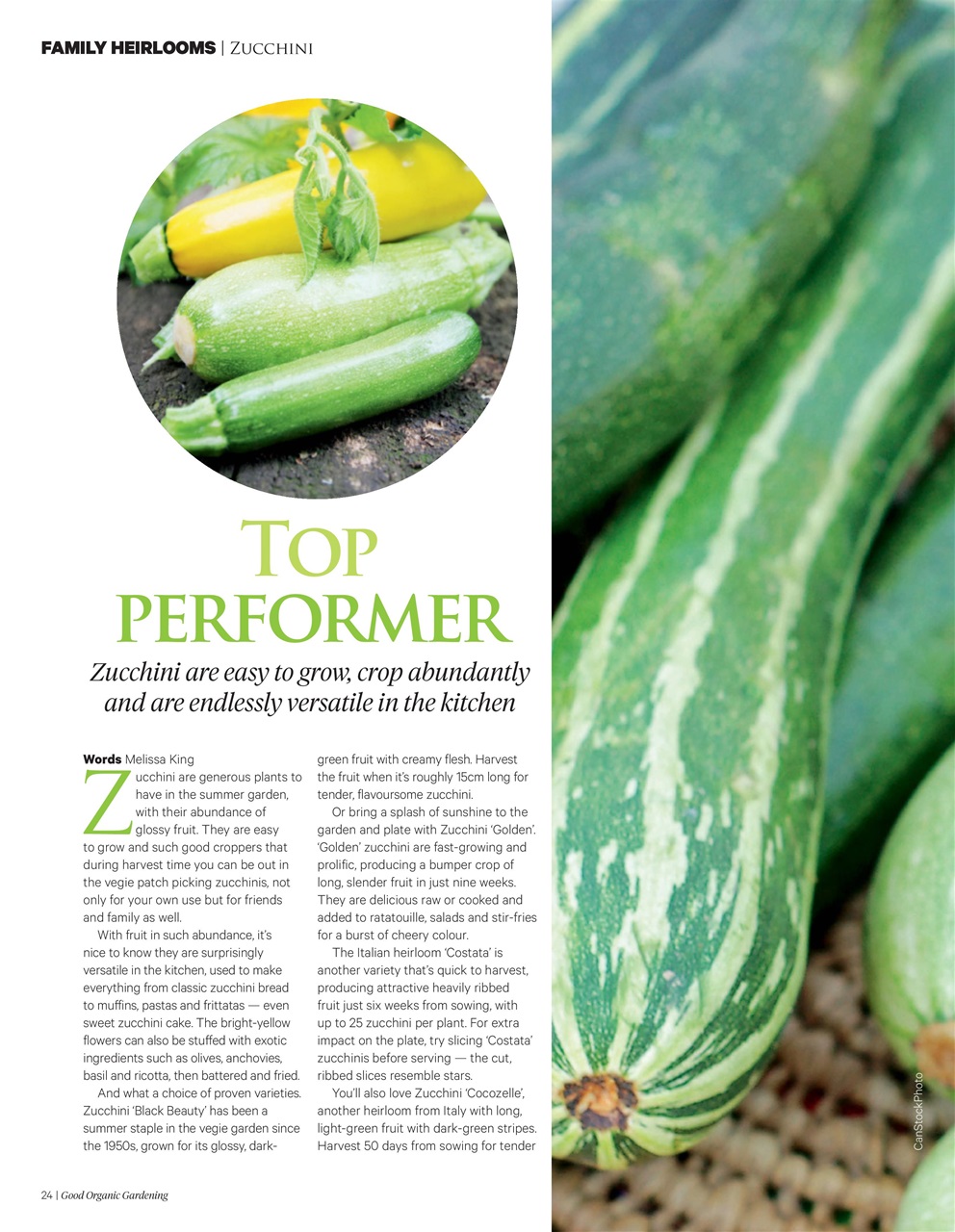 Good Organic Gardening Preview Pages