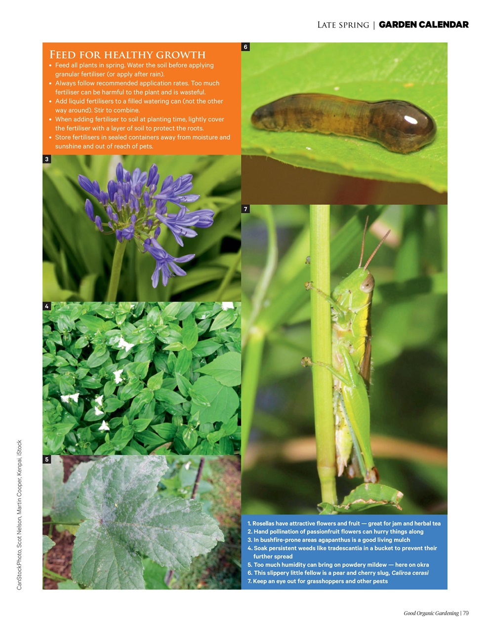Good Organic Gardening Preview Pages