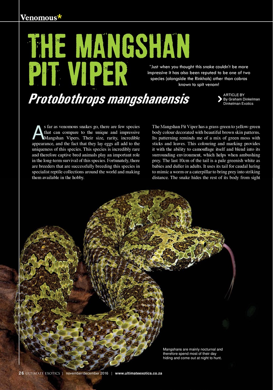 Ultimate Exotics Preview Pages