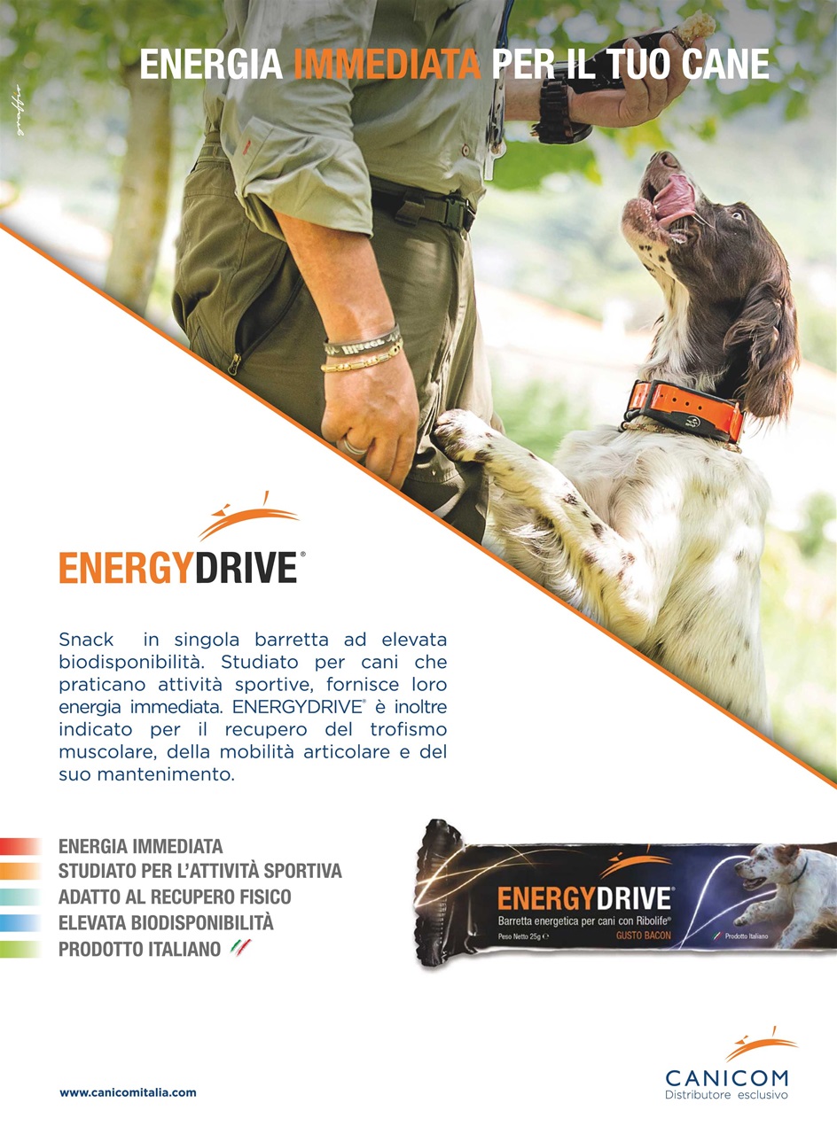 La Gazzetta Della Cinofilia Venatoria Preview Pages