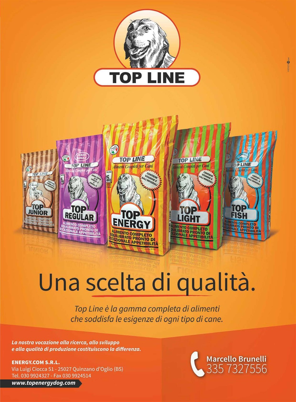 La Gazzetta Della Cinofilia Venatoria Preview Pages