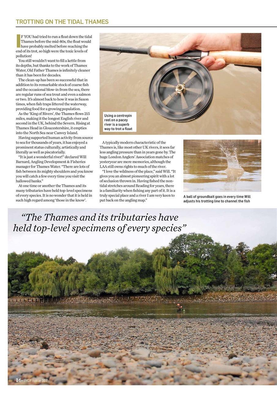 Improve Your Coarse Fishing Preview Pages