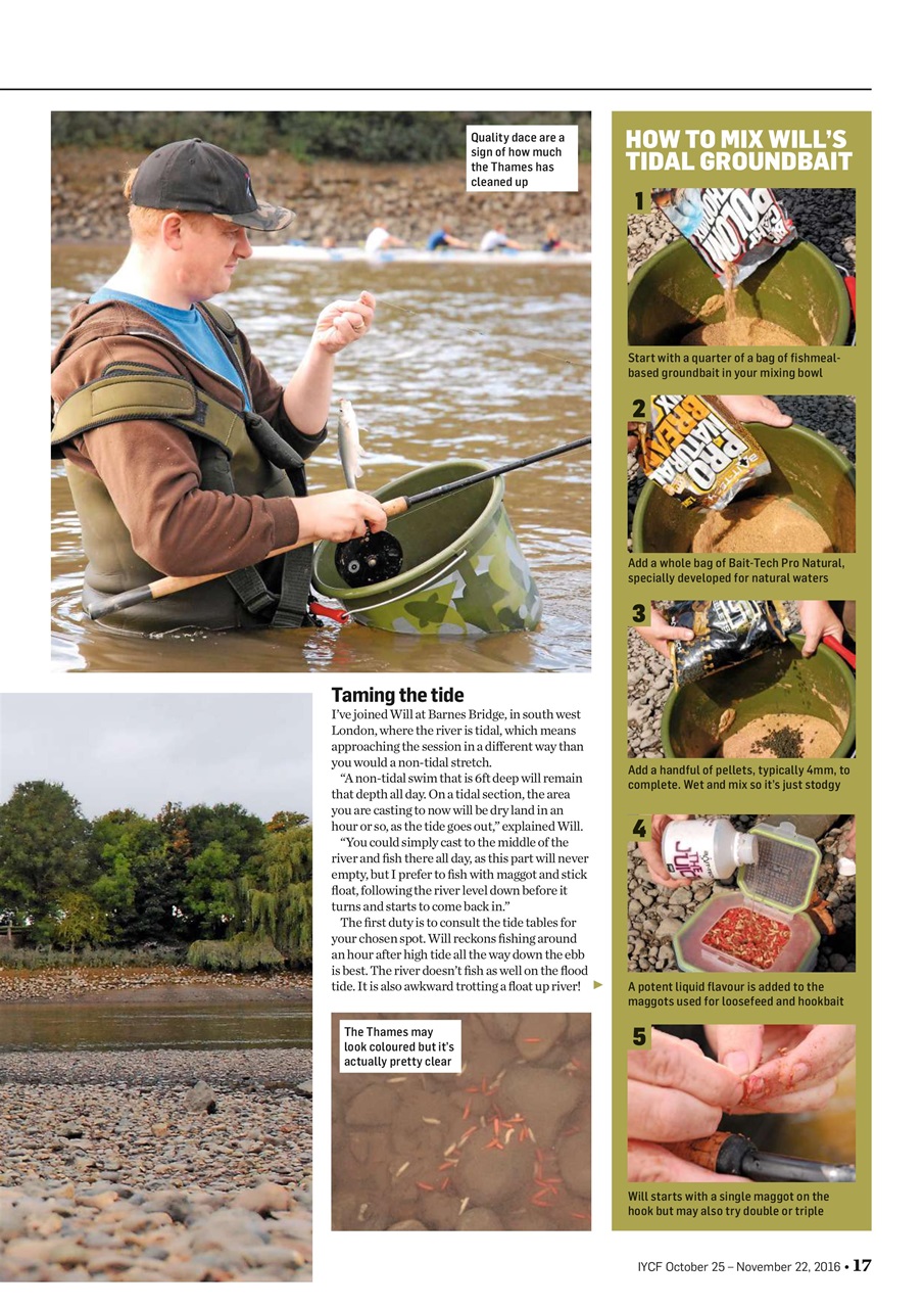 Improve Your Coarse Fishing Preview Pages