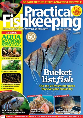 Practical Fishkeeping issue December 2016