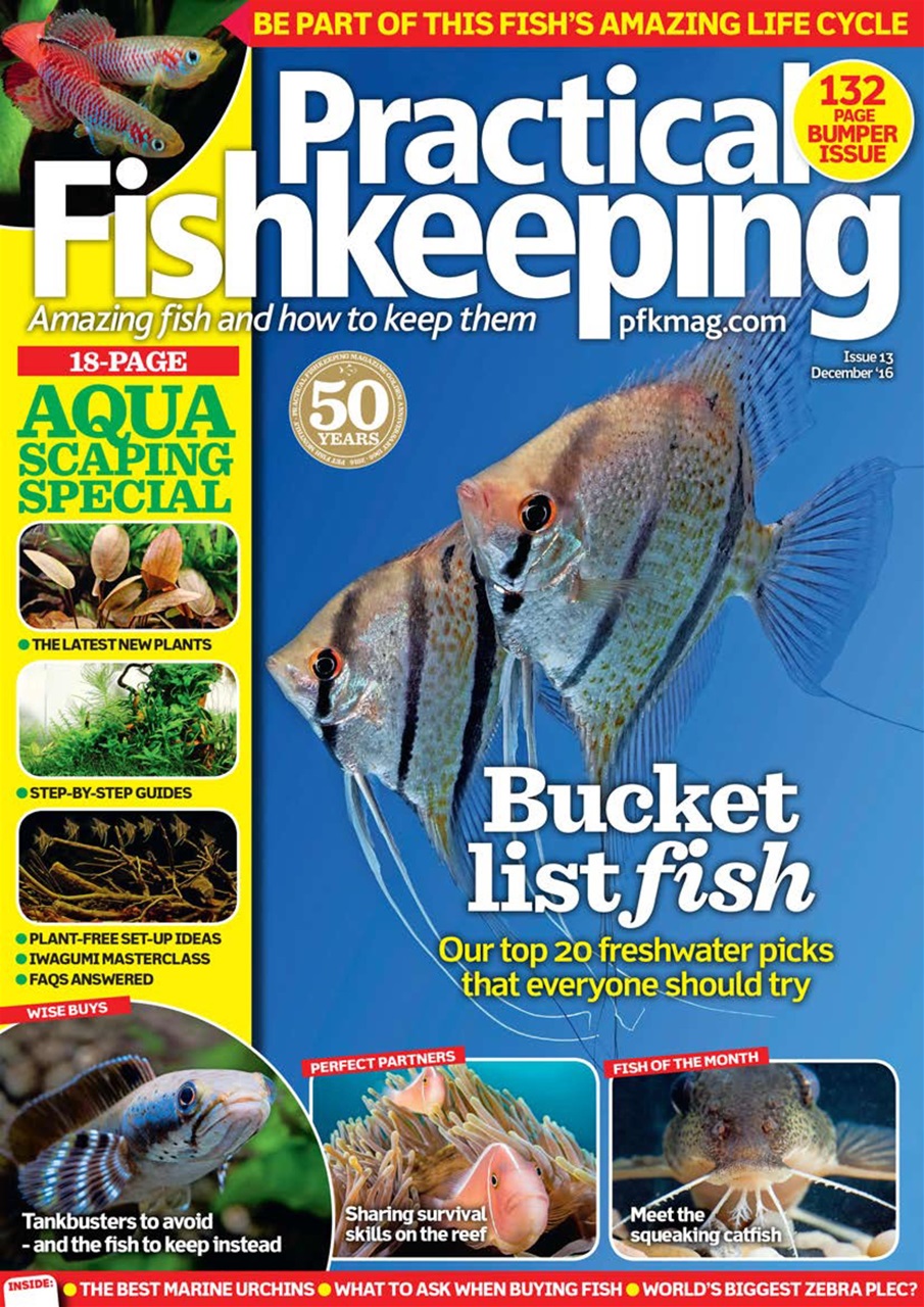 Practical Fishkeeping Preview Pages