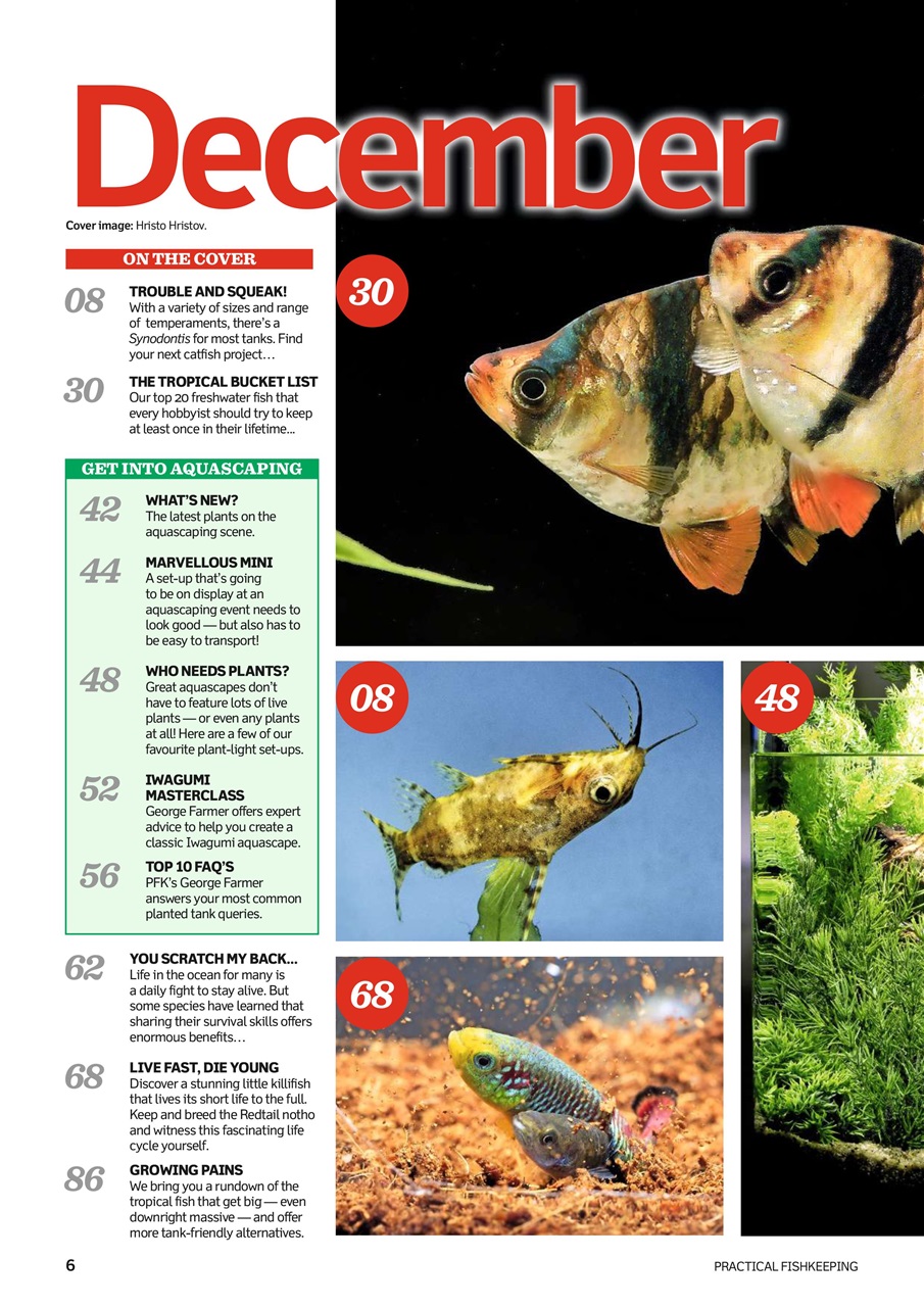 Practical Fishkeeping Preview Pages