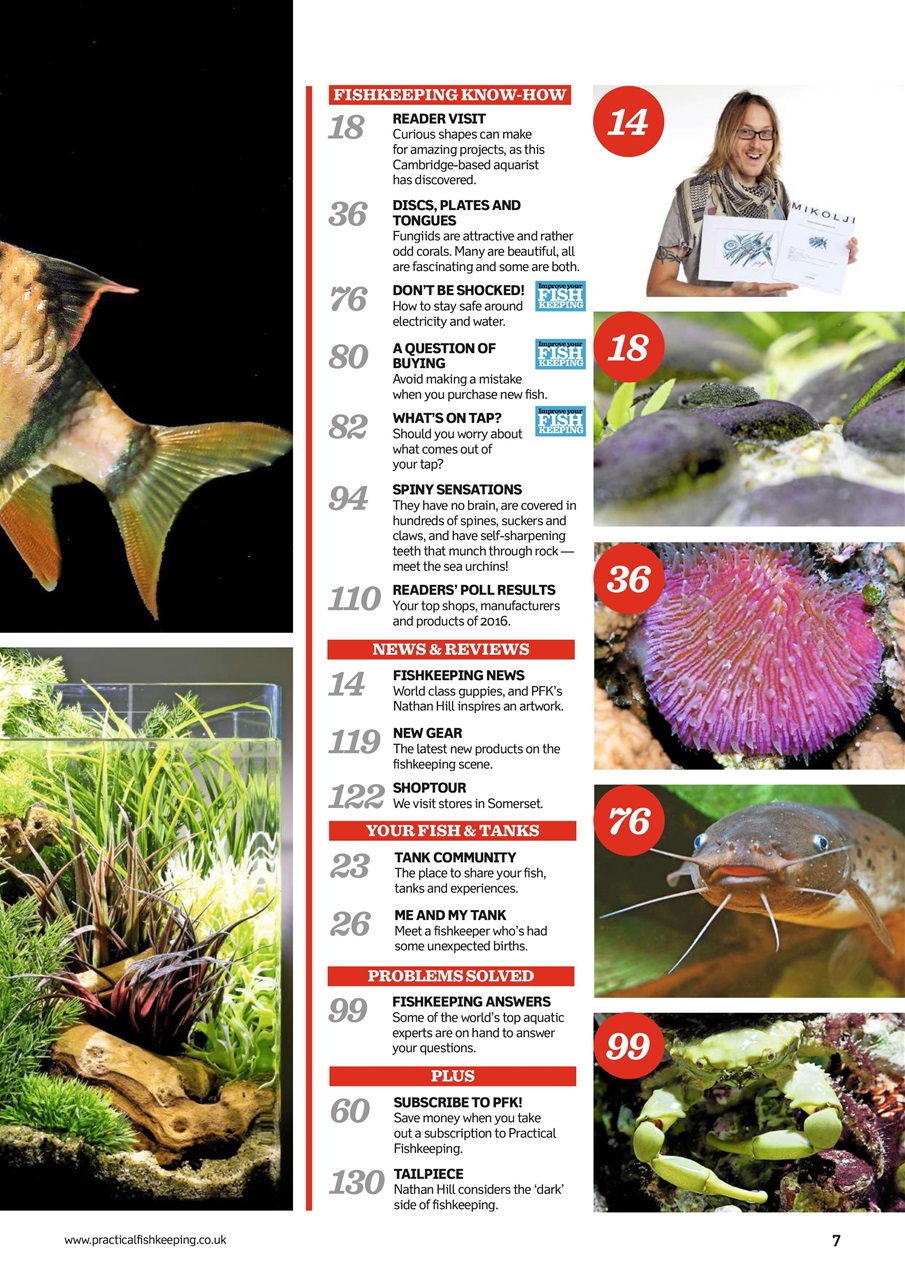 Practical Fishkeeping Preview Pages
