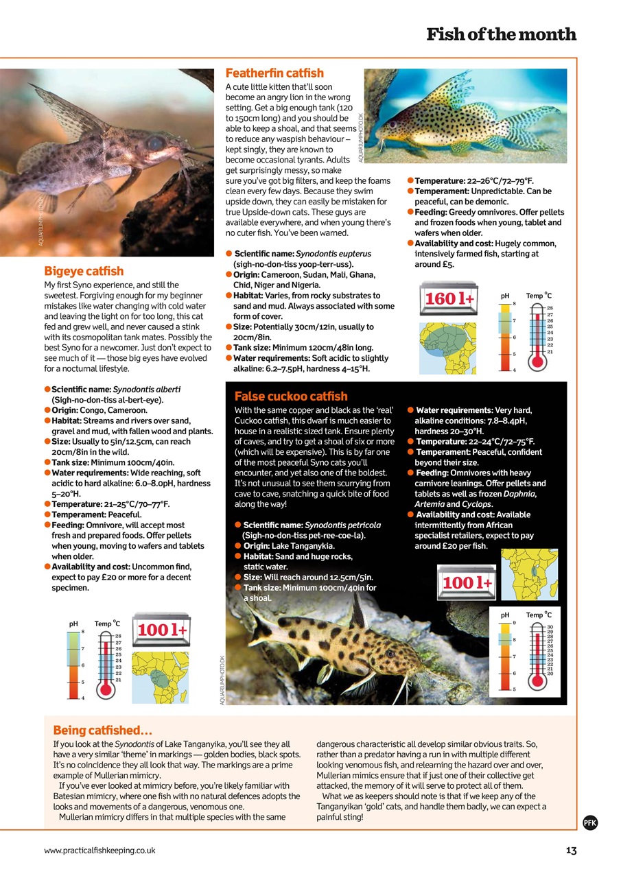 Practical Fishkeeping Preview Pages
