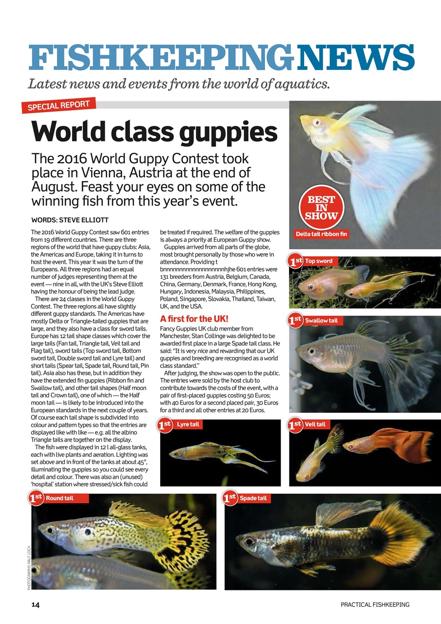Practical Fishkeeping Preview Pages
