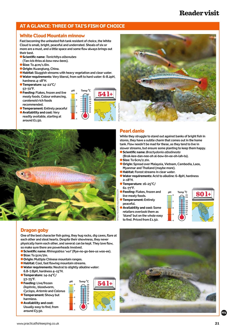 Practical Fishkeeping Preview Pages