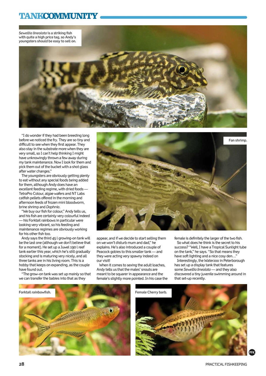 Practical Fishkeeping Preview Pages