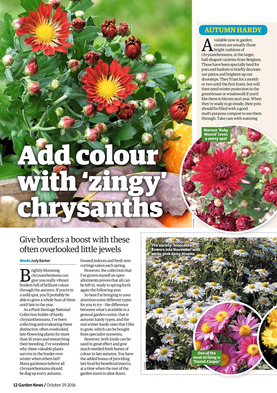 Garden News Preview Pages