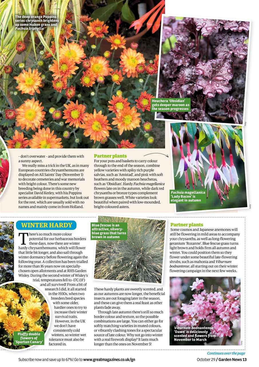Garden News Preview Pages