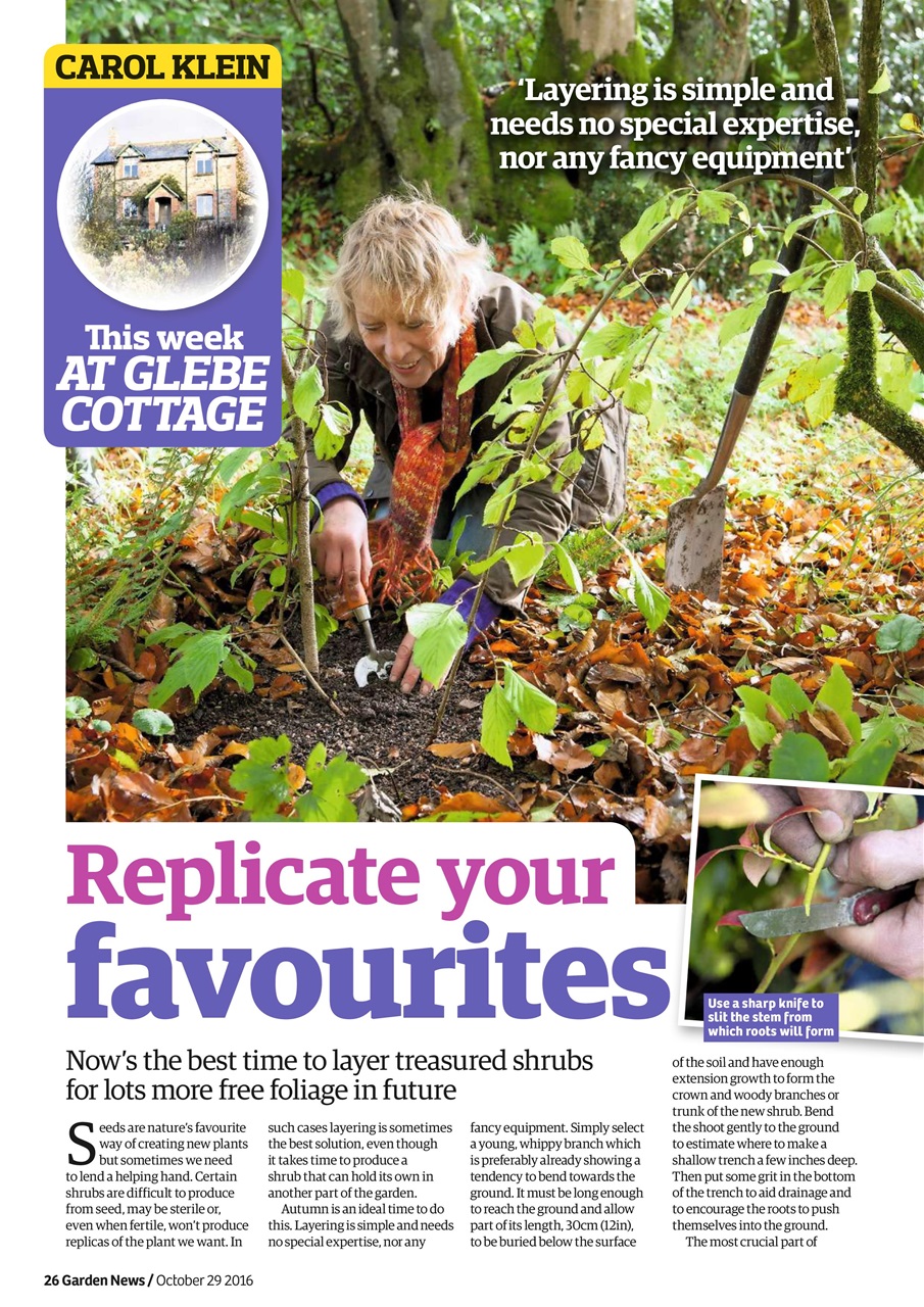 Garden News Preview Pages