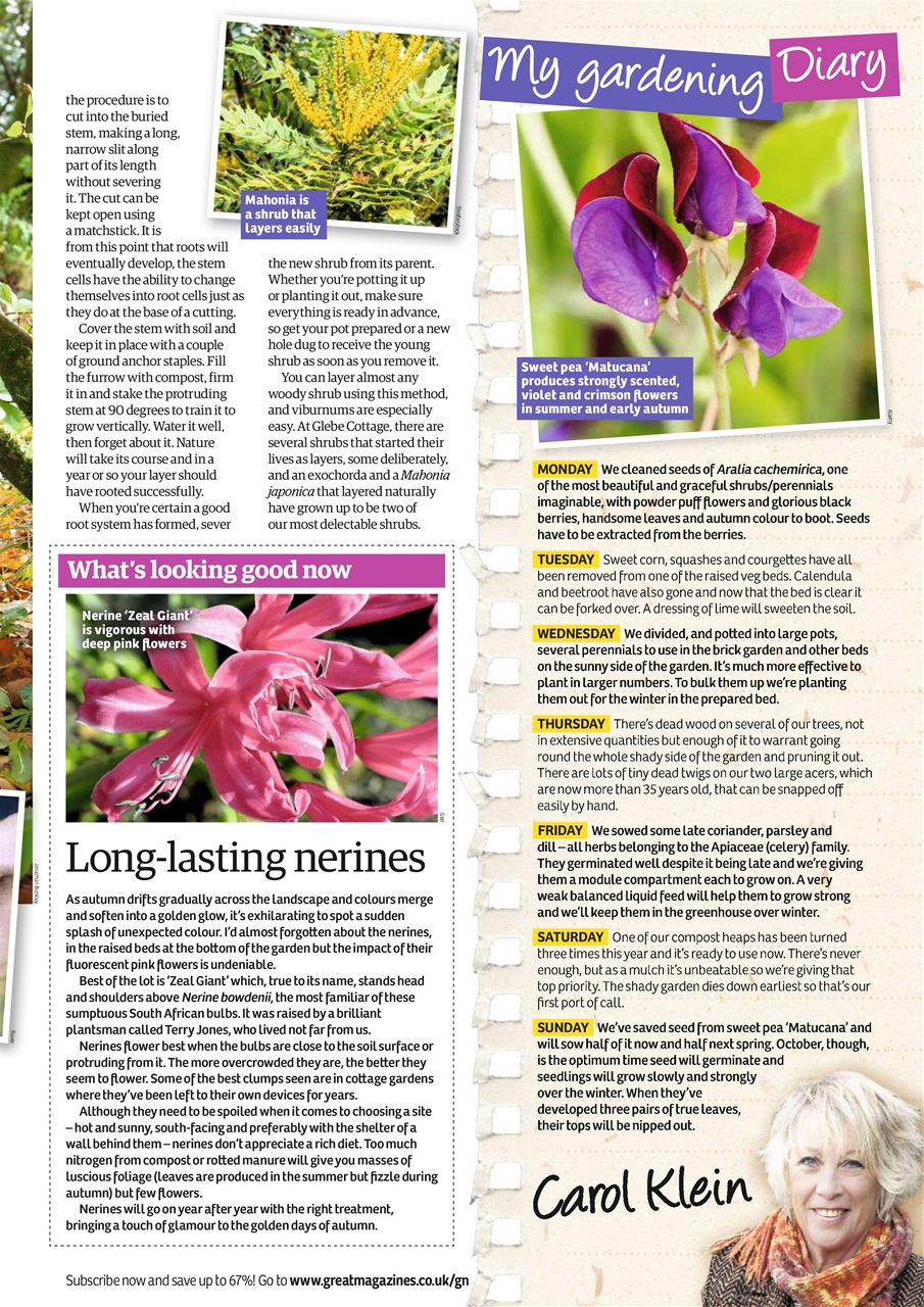 Garden News Preview Pages