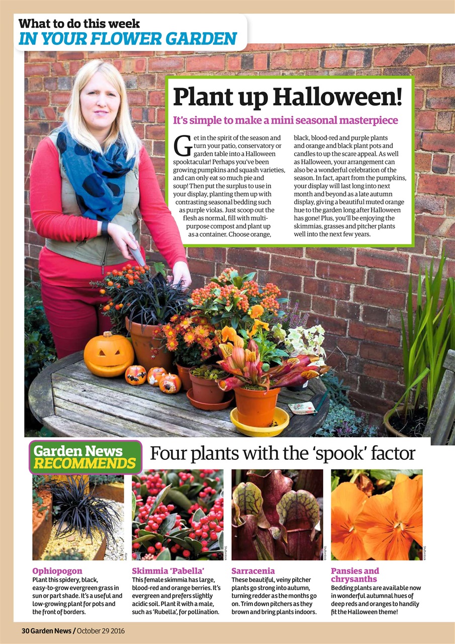 Garden News Preview Pages