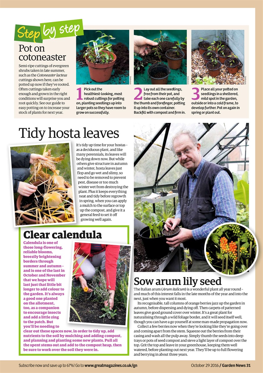Garden News Preview Pages