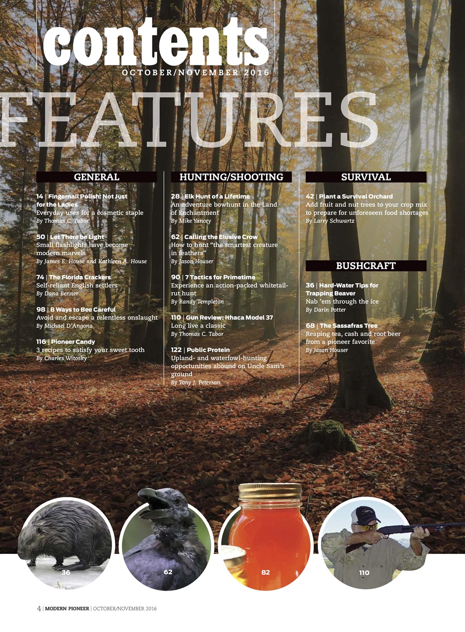 Modern Pioneer Preview Pages