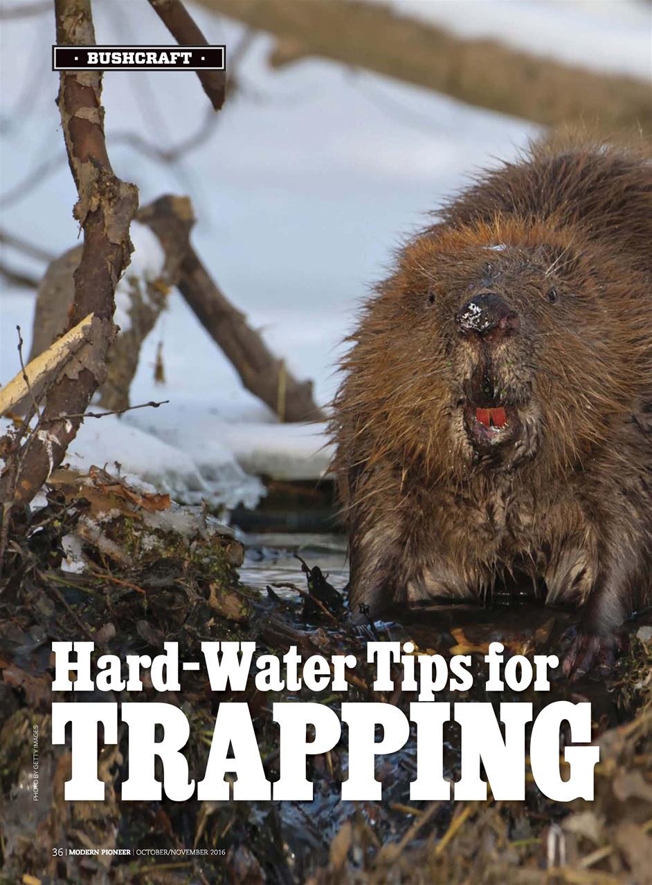 Modern Pioneer Preview Pages