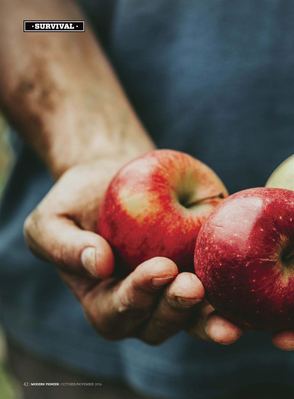 Modern Pioneer Preview Pages