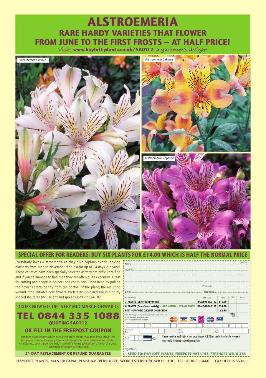 Scottish Memories Preview Pages