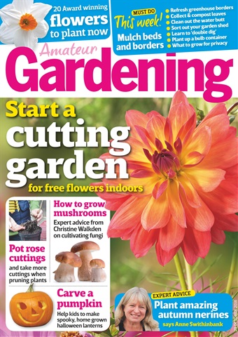 Amateur Gardening issue 29th October 2016