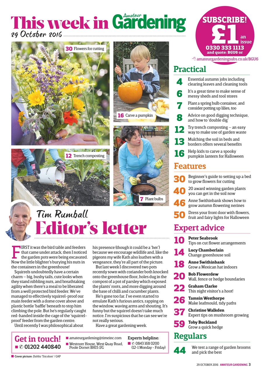 Amateur Gardening Preview Pages