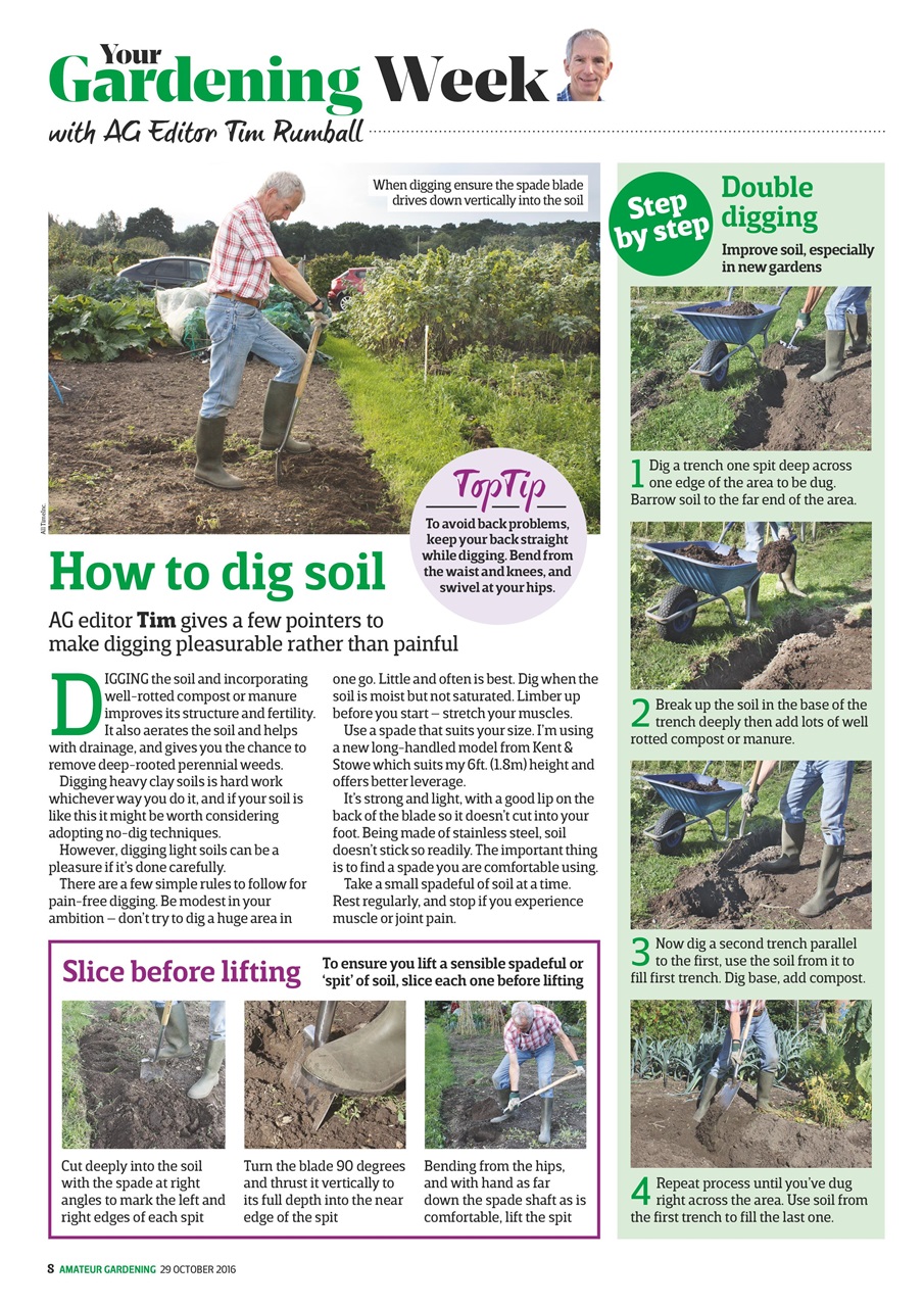 Amateur Gardening Preview Pages