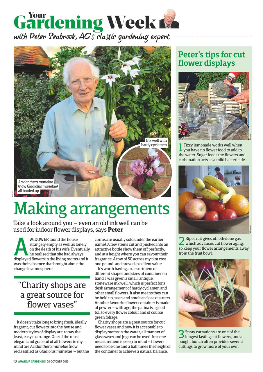 Amateur Gardening Preview Pages
